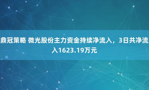 鼎冠策略 微光股份主力资金持续净流入，3日共净流入1623.19万元