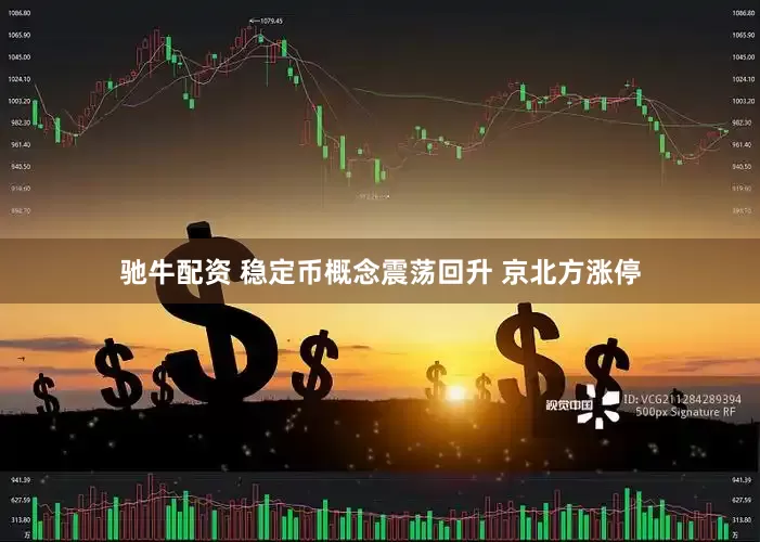 驰牛配资 稳定币概念震荡回升 京北方涨停