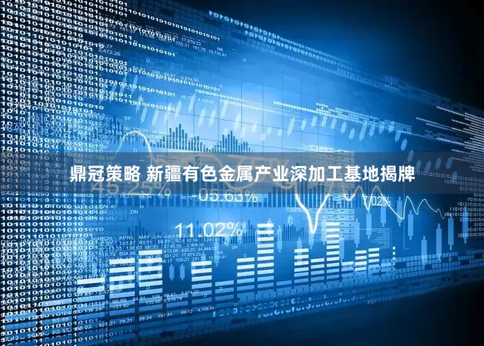 鼎冠策略 新疆有色金属产业深加工基地揭牌