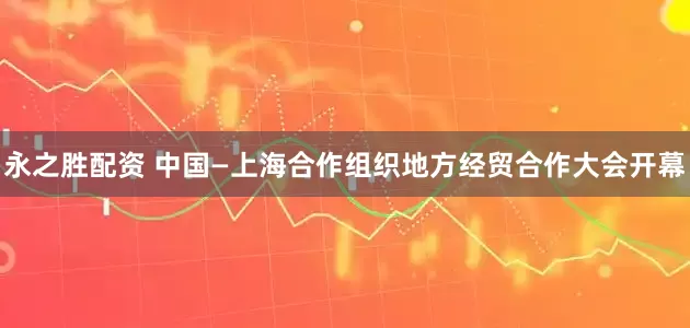 永之胜配资 中国—上海合作组织地方经贸合作大会开幕